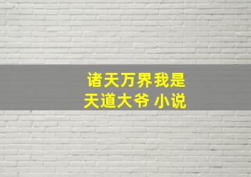 诸天万界我是天道大爷 小说